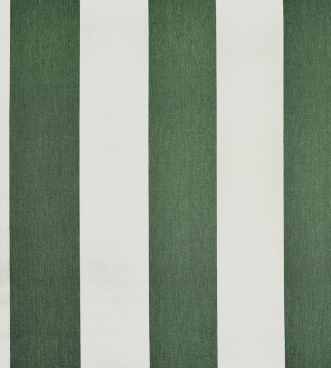 Punch Fabric by Casal Sapin