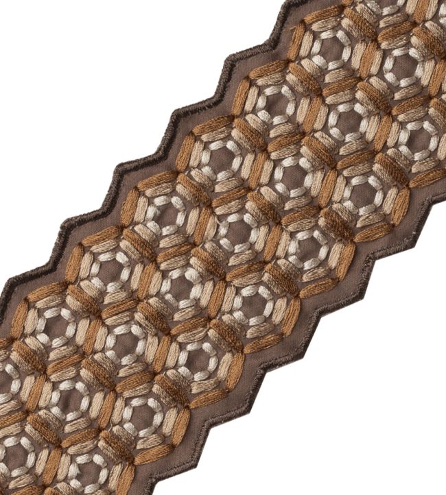 Queen Bee Embroidered Border Trimming by Samuel & Sons Amber