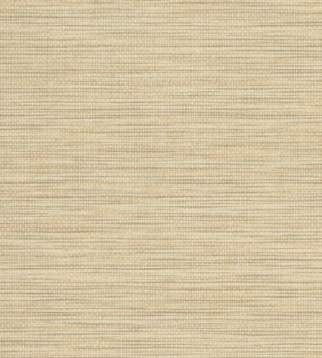 Rafferty Wallpaper by Jane Churchill Gold