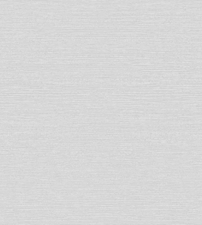 Raffia Wallpaper by 1838 Wallcoverings Mist