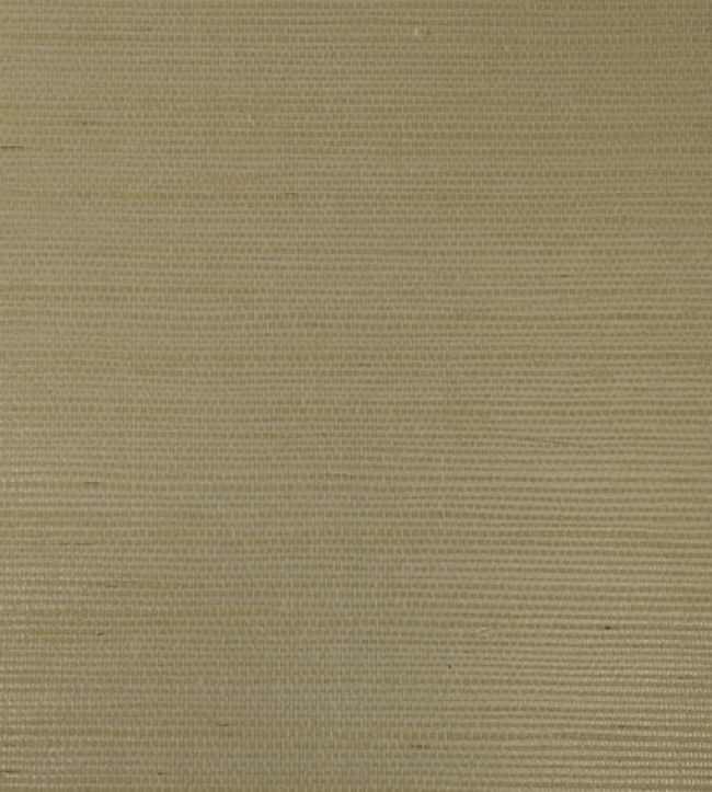 Rafia Plain Wallpaper by Armani Casa 9361