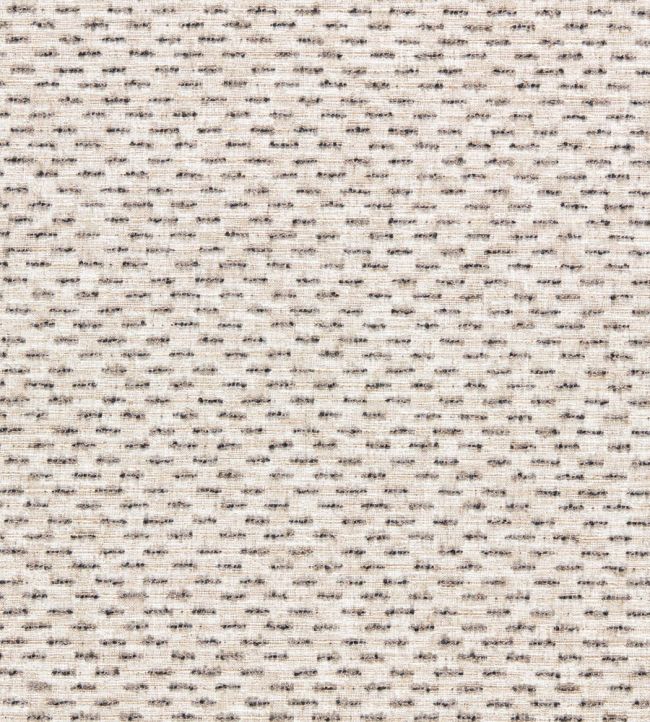 Rambla Fabric by Clarke & Clarke Noir