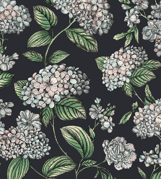 Ramo di Ortensia Wallpaper by Cole & Son Pastel on Charcoal