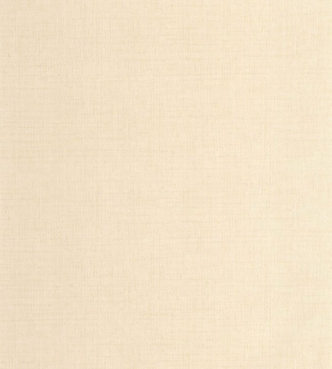 Raphia Wallpaper by Caselio Beige