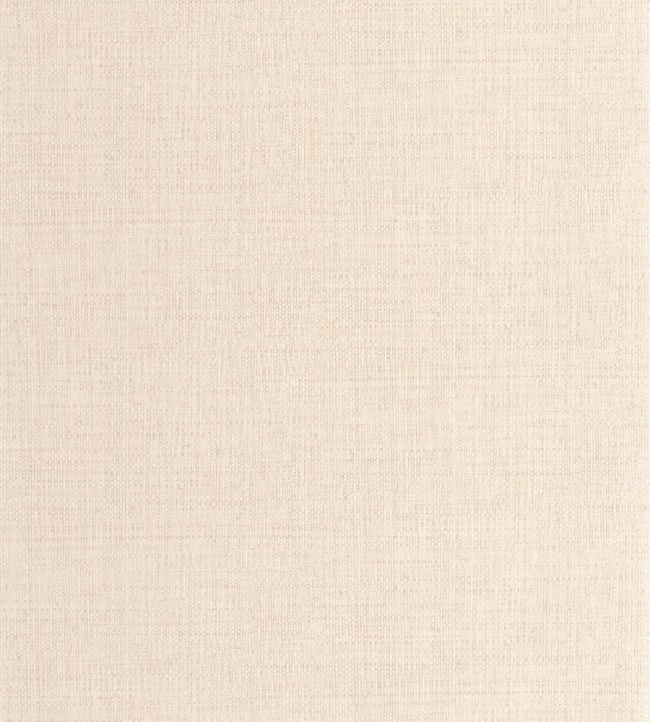 Raphia Wallpaper by Caselio Taupe clair