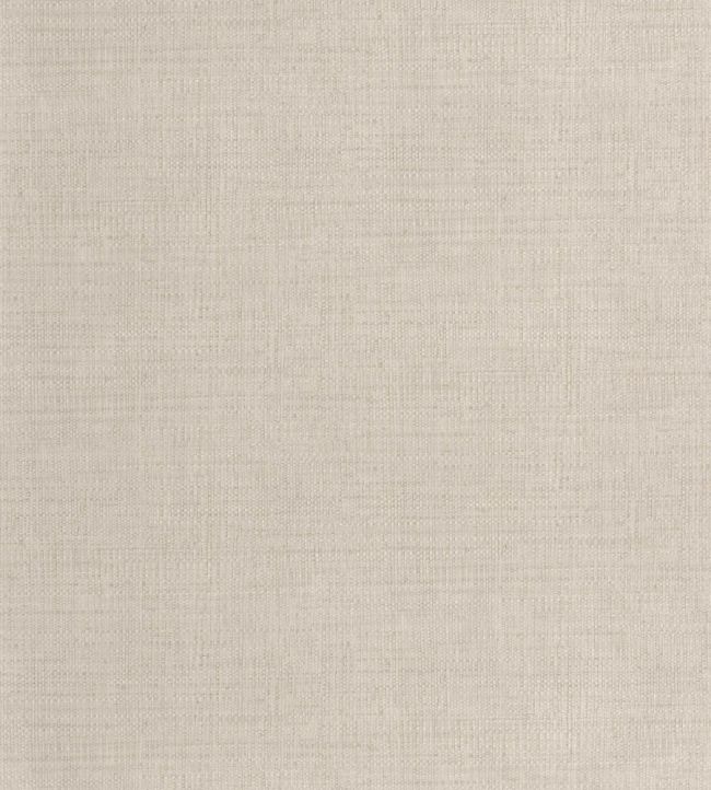 Raphia Wallpaper by Caselio Taupe fonce