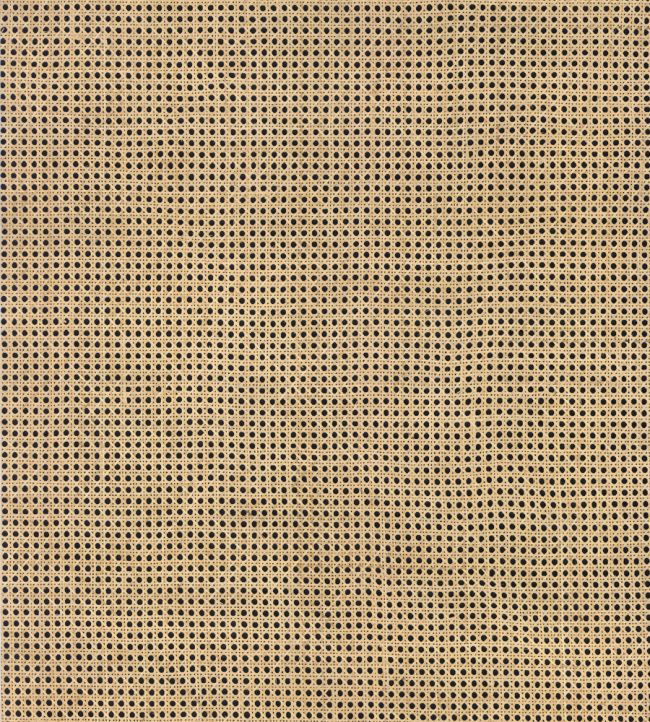 Rattan Wallpaper by Arte Eclipse