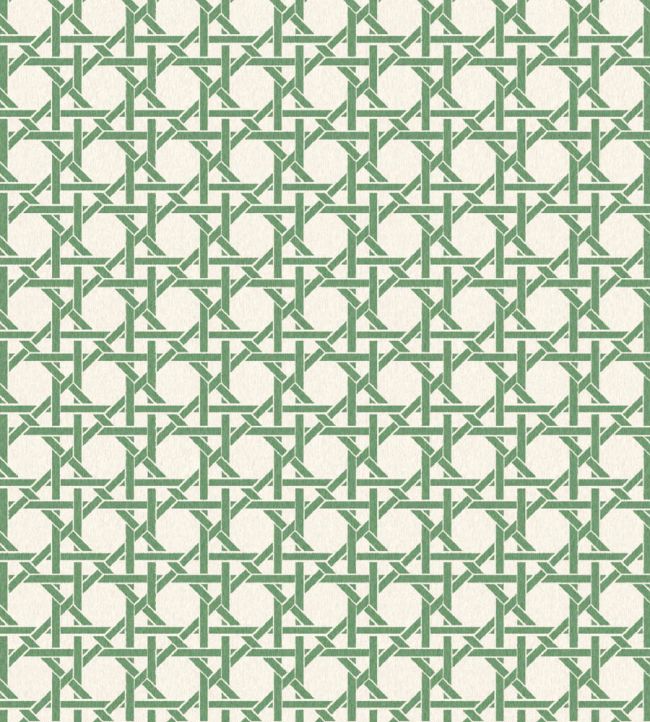 Rattan Wallpaper by Woodchip & Magnolia Evergreen