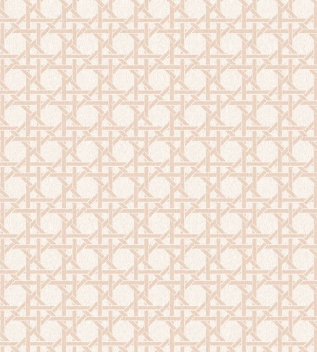 Rattan Wallpaper by Woodchip & Magnolia Soft Apricot