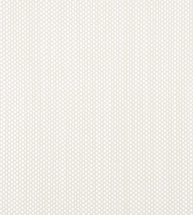 Ravenna Fabric by Thibaut Sand