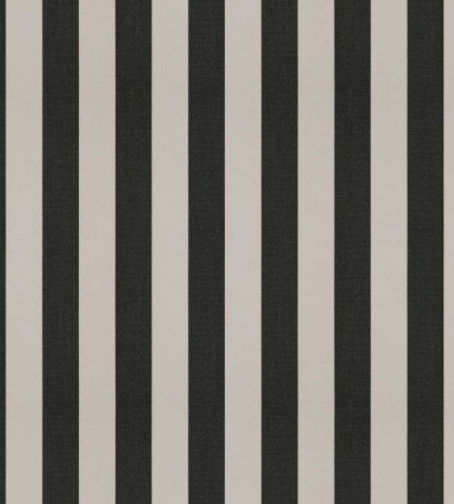 Raya Fabric by Warwick Coal