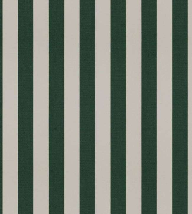 Raya Fabric by Warwick Evergreen