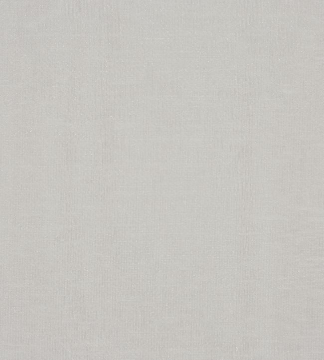 Reed Fabric by Prestigious Textiles Pewter