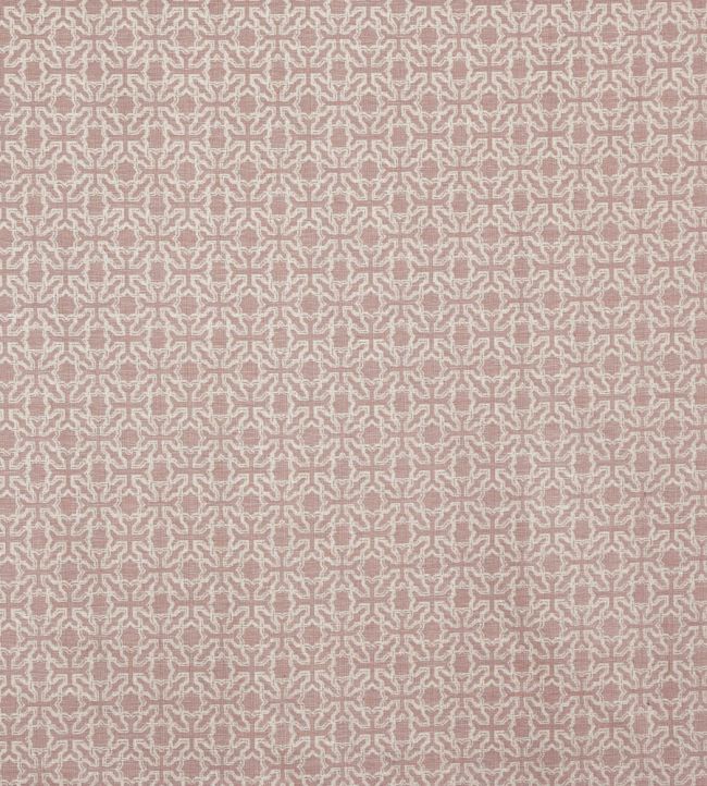 Reeves Fabric by Prestigious Textiles Salsa