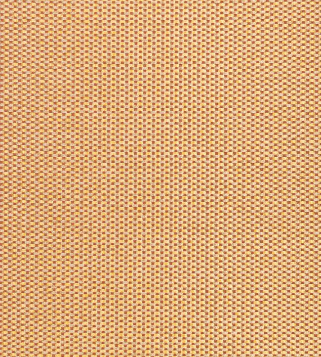 Regal Fabric by Kirkby Design Marmalade