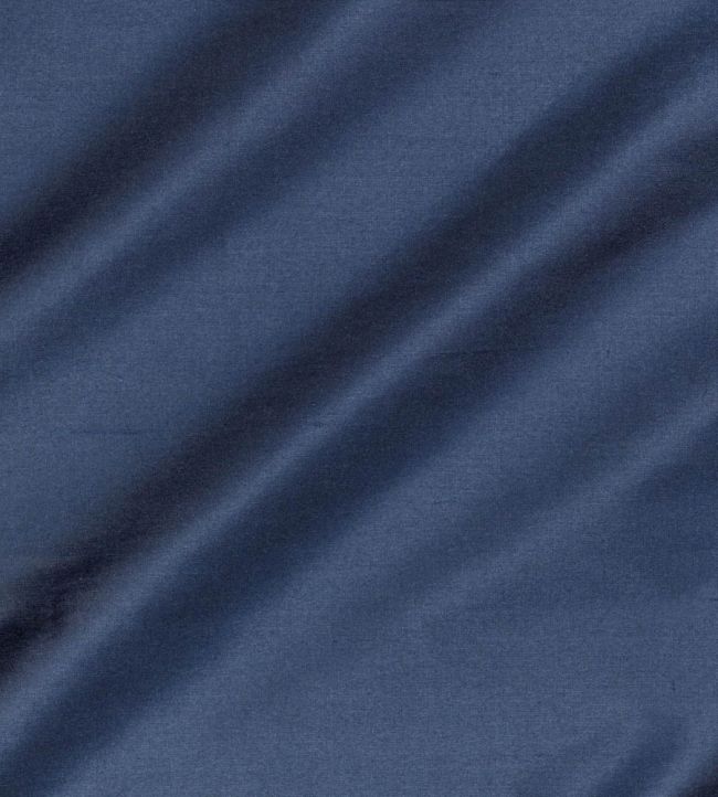 Regal Silk Fabric by James Hare Caspian