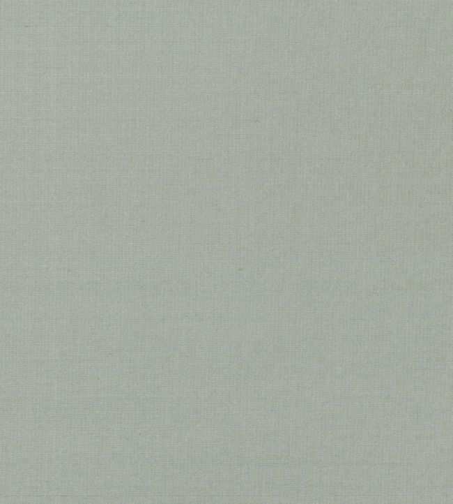 Regal Silk Fabric by James Hare French Grey
