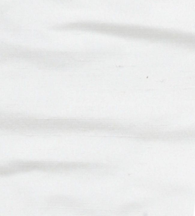 Regal Silk Fabric by James Hare Ivory