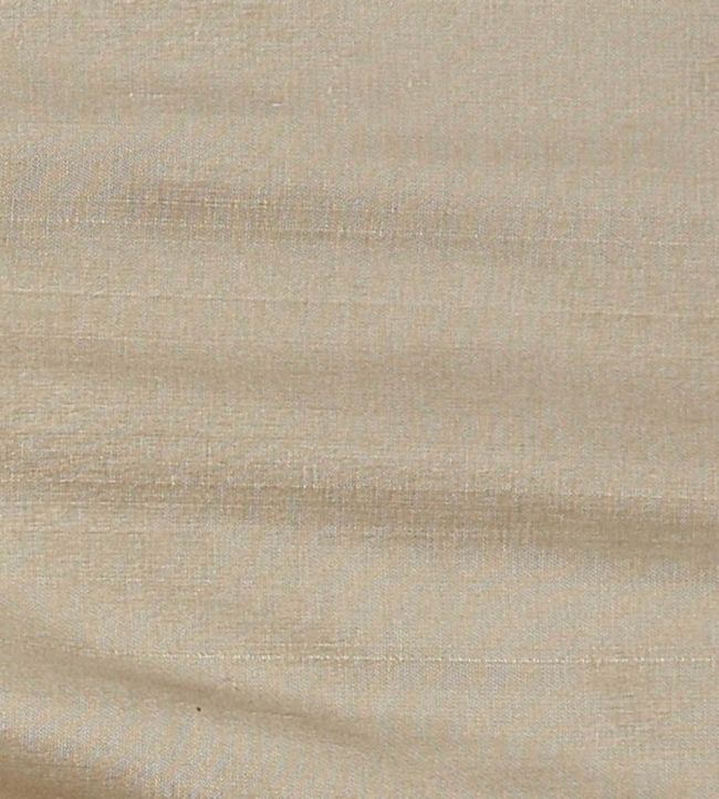 Regal Silk Fabric by James Hare Oyster