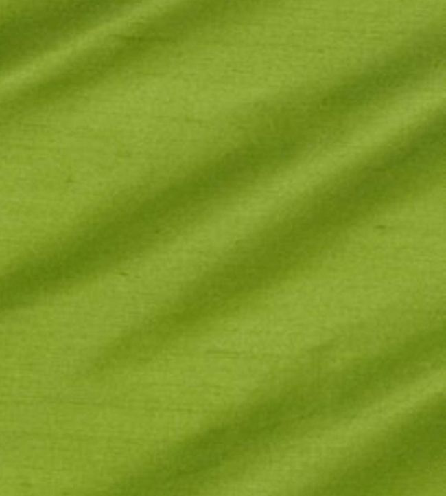 Regal Silk Fabric by James Hare Parakeet