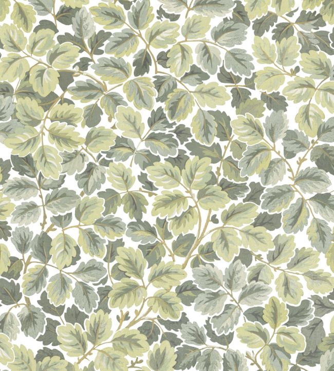 Regents Park Wallpaper by Casadeco Amande
