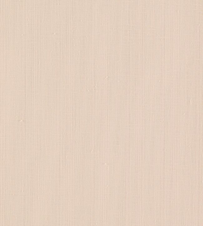 Remo Fabric by Clarke & Clarke Blush