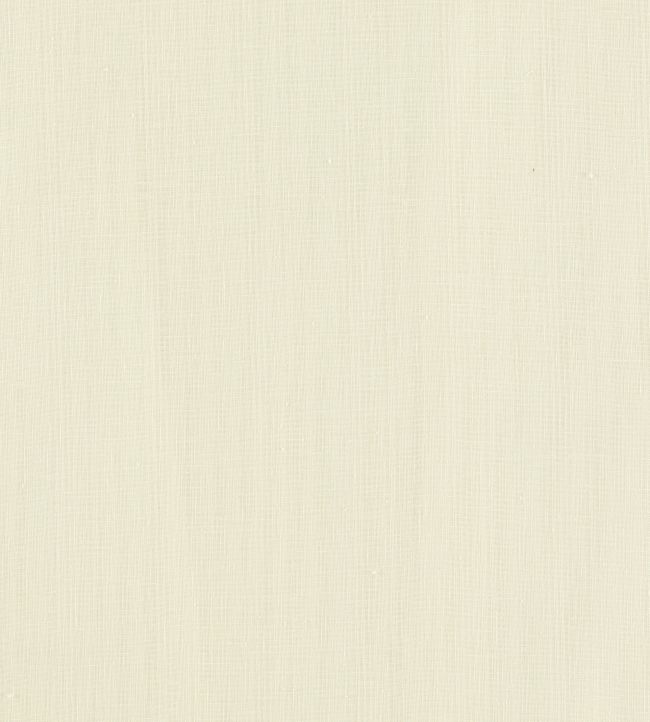 Remo Fabric by Clarke & Clarke Ivory