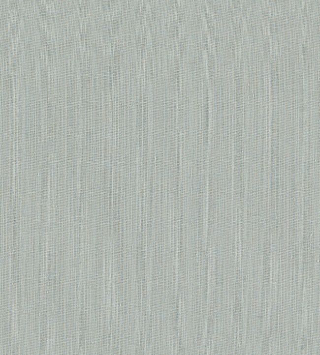 Remo Fabric by Clarke & Clarke Mist
