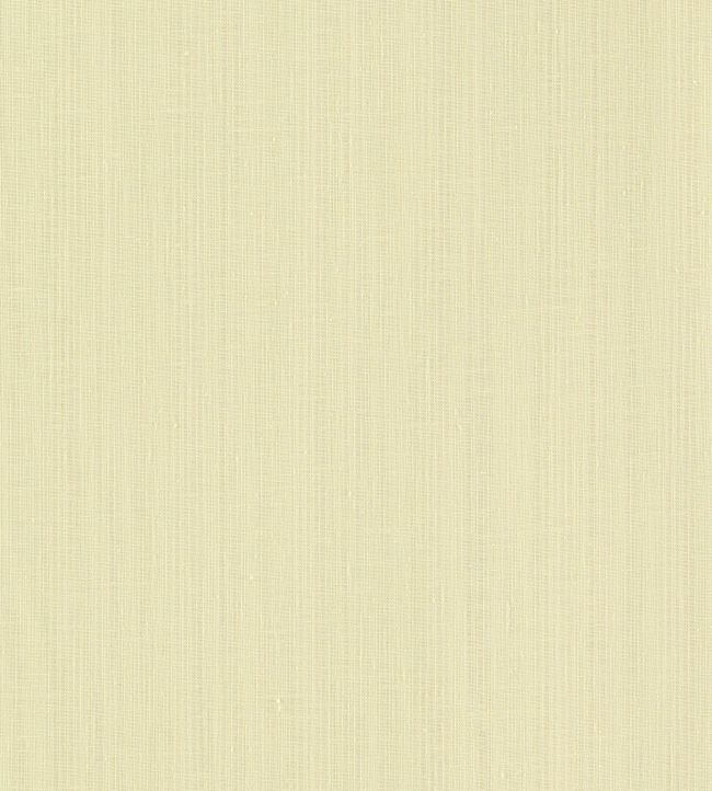 Remo Fabric by Clarke & Clarke Oyster