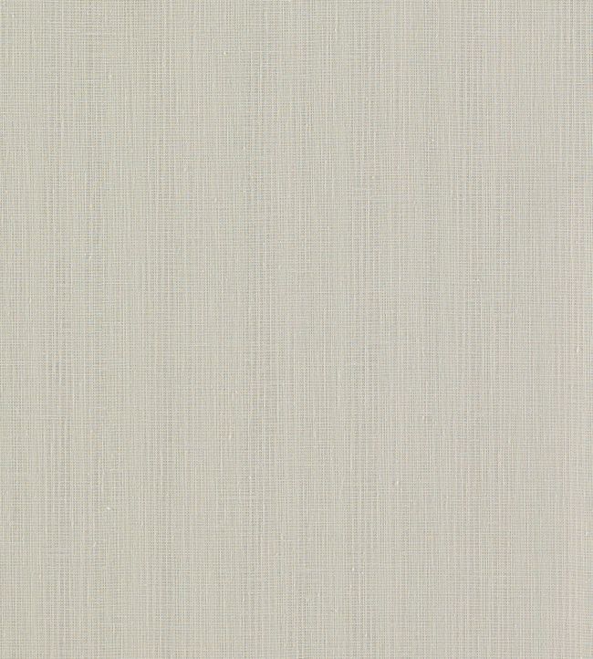Remo Fabric by Clarke & Clarke Pebble