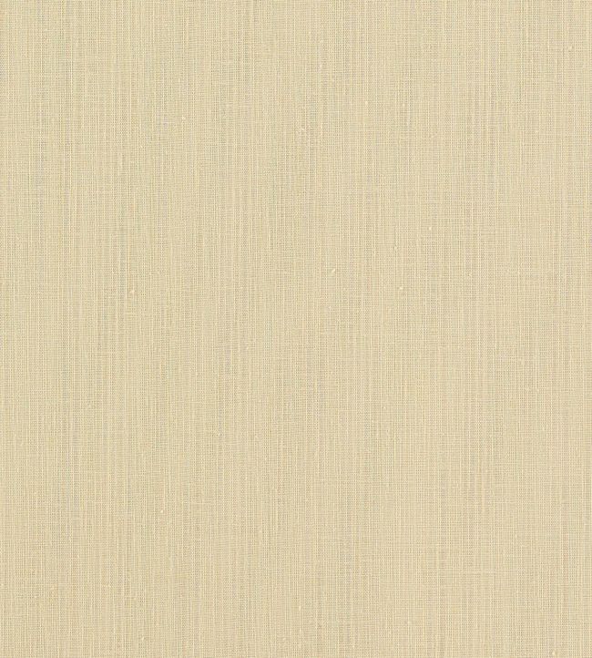 Remo Fabric by Clarke & Clarke Raffia