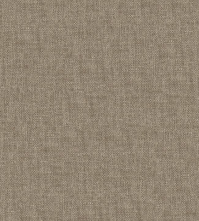 Renovare Fabric by Wemyss Earth