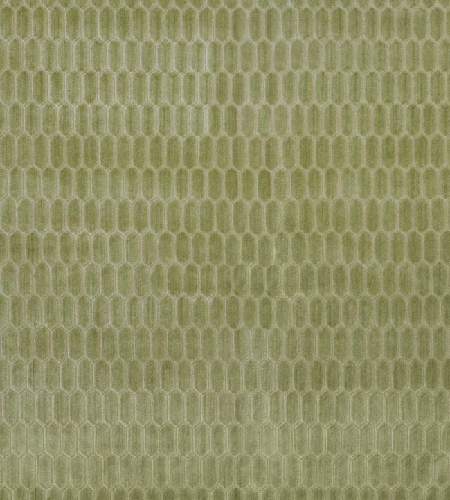 Rialta Fabric by Kai Aloe