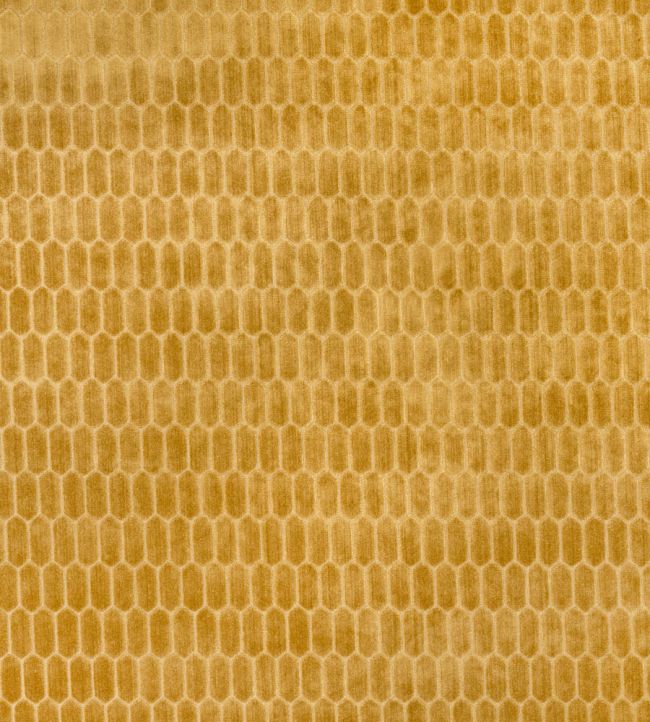 Rialta Fabric by Kai Pollen