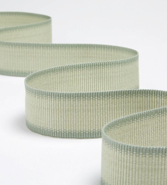 Ribbon Trimming by James Hare Green