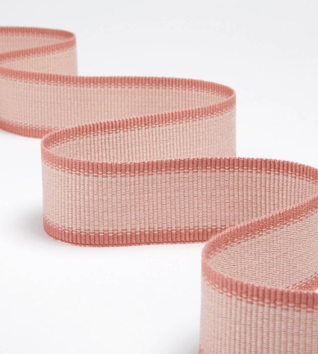Ribbon Trimming by James Hare Pink