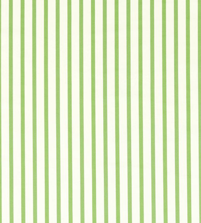 Ribbon Stripe Fabric by Harlequin Peridot