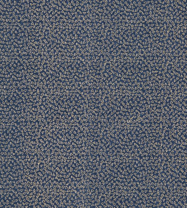 Ricamo Fabric by Clarke & Clarke Midnight
