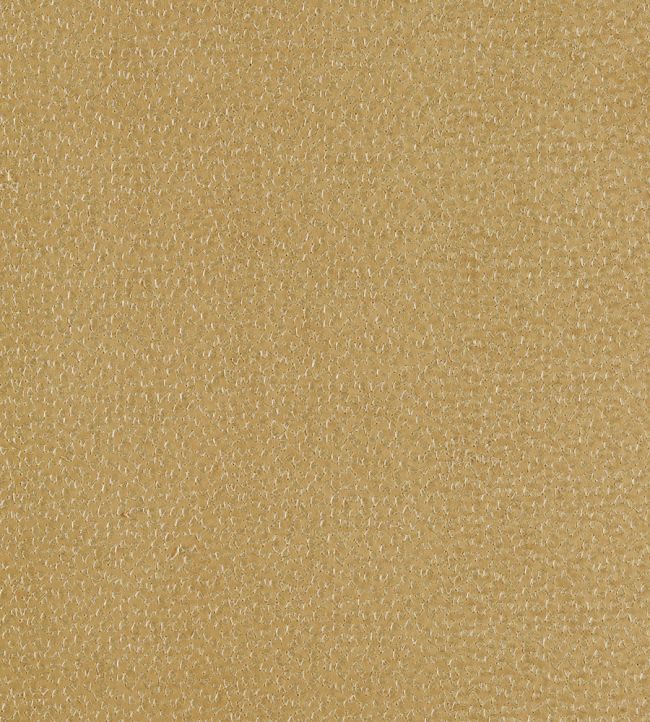 Ricamo Fabric by Clarke & Clarke Ochre