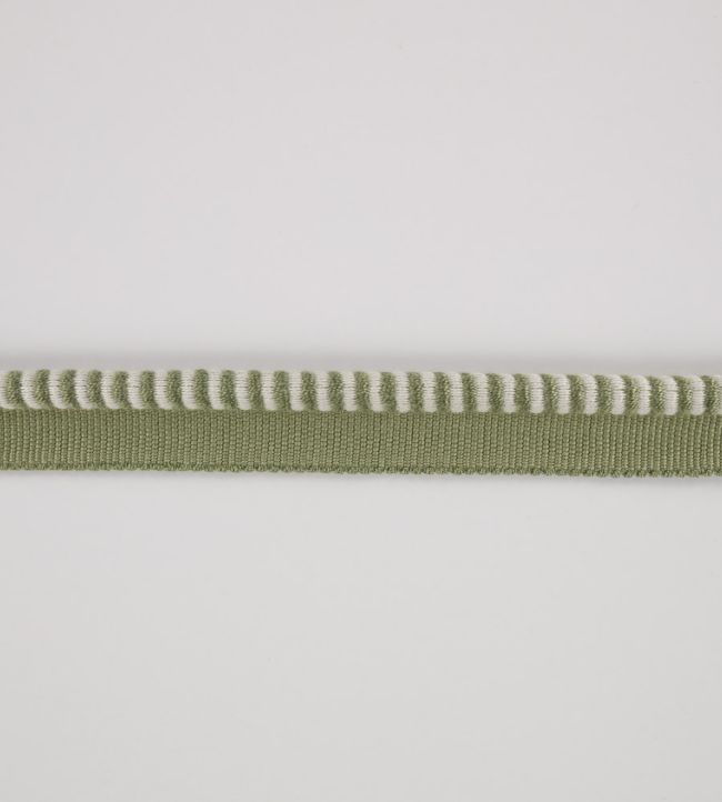Riko Cord Trimming by Romo Matcha