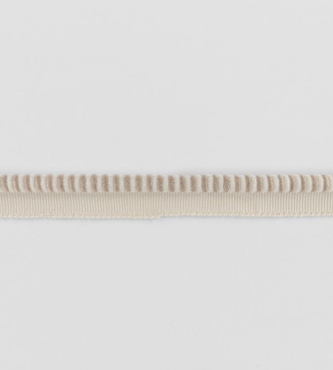 Riko Cord Trimming by Romo Oyster