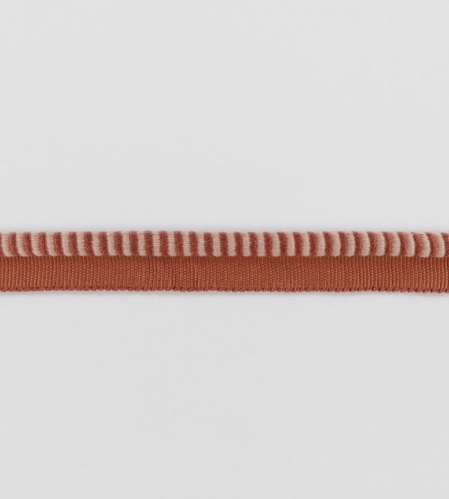 Riko Cord Trimming by Romo Pimento