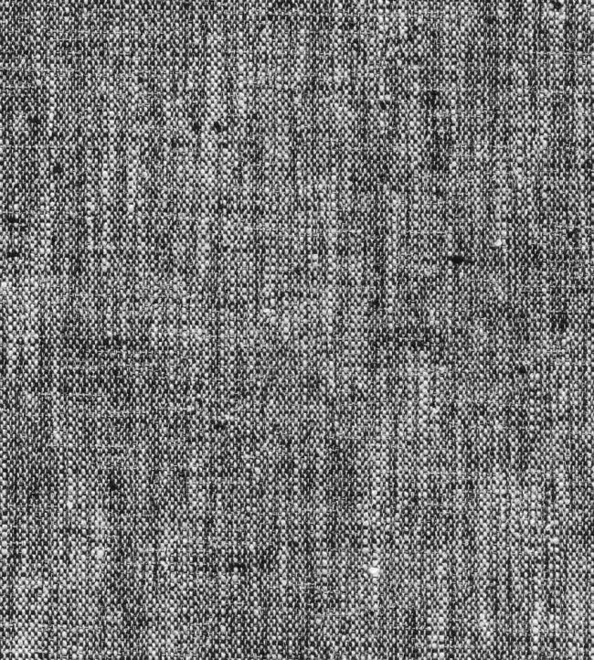 Riley Fabric by Wemyss Tuxedo
