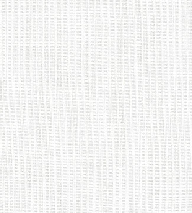Rimini Fabric by Thibaut Platinum