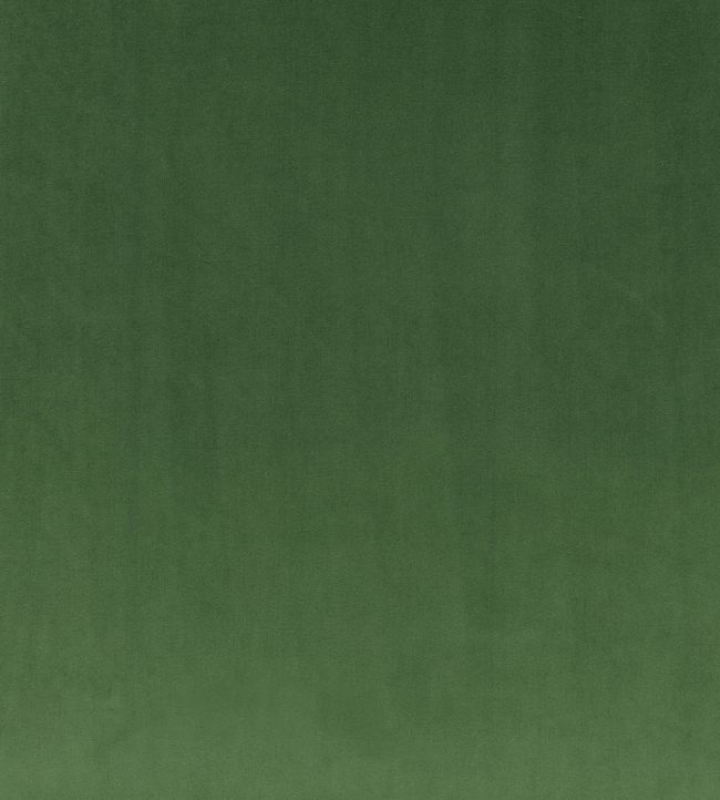 Rio Fabric by Villa Nova Evergreen