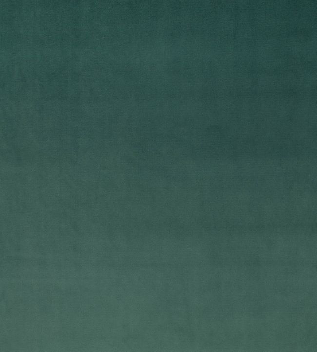 Rio Fabric by Villa Nova Fir