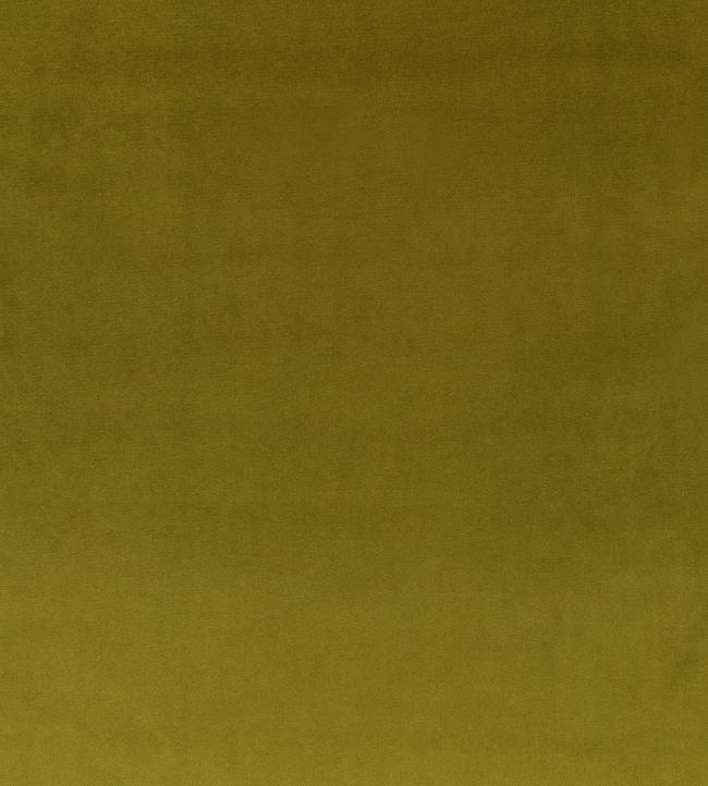 Rio Fabric by Villa Nova Leaf