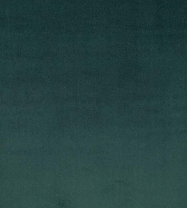 Rio Fabric by Villa Nova Serpentine