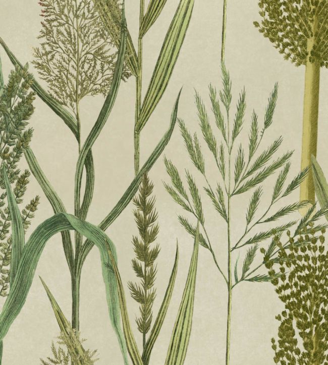 Riverside Flora Wallpaper by MINDTHEGAP Taupe