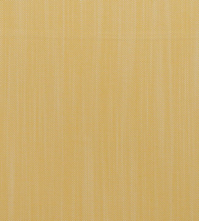 Riviera Fabric by Andrew Martin Sole